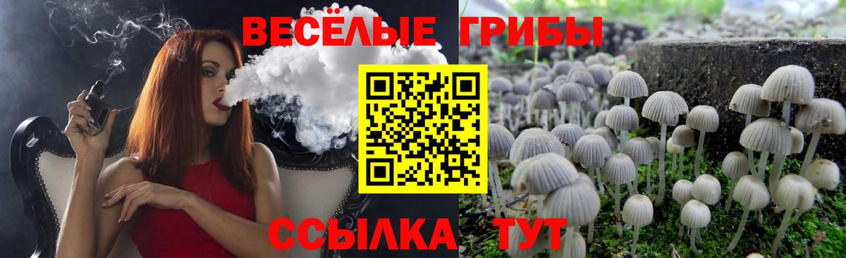 Верхний Уфалей  Галлюциногенные грибы Cubensis  Вход с VPN 